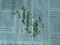 k-BILD0927.webp