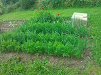 WP_000100.webp