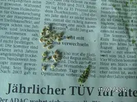 k-BILD1132.webp
