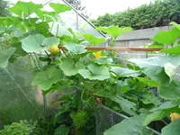 P1020044.webp