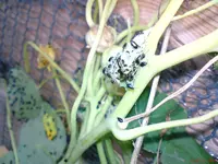 DSC01506.webp