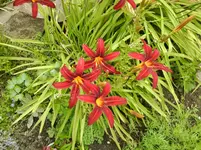 Foto0310.webp