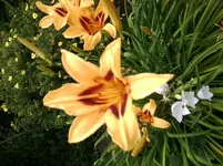 Foto0313.webp