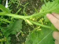 CIMG0015.webp