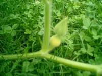 CIMG0003.webp