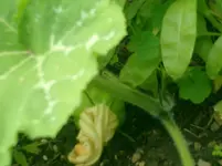 CIMG0005.webp
