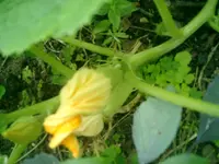 CIMG0032.webp