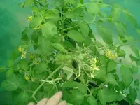 CIMG0022.webp