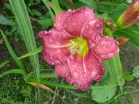 IMG_fragezeichen 41_1024x768.webp