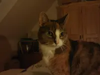 WP_000058.webp