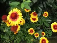 022.webp