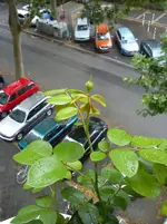 DSC00630.webp