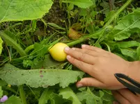 garten juli 2012 036.webp