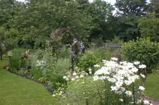 Garten 07 2012 1 011.webp