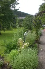 Garten 07 2012 1 012.webp