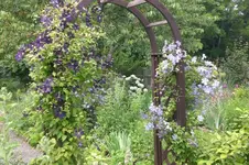 Garten 07 2012 1 013.webp