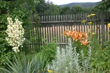 Garten 07 2012 1 014.webp