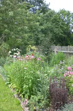 Garten 07 2012 1 015.webp