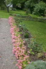 Garten 07 2012 1 018.webp