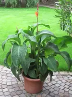 002.webp