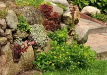Feldsteinmauer in voller Pracht_smaller.webp