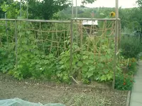 CIMG0006.webp