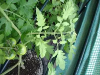 DSC01226.webp