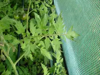 DSC01235.webp
