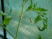 DSC01234.webp