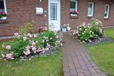 P1080336.webp