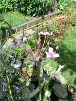 CIMG0773.webp
