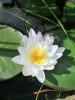 CIMG0770.webp