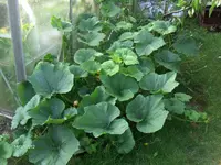 HPIM7894.webp
