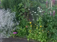 HPIM7888.webp