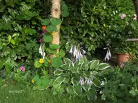 HPIM7881.webp