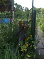HPIM7876.webp