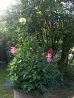 HPIM7875.webp