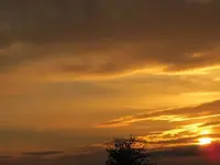 01 Lavendula.webp