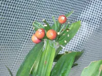 DSCN0563.webp