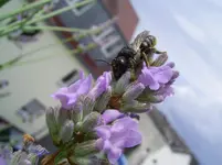 PIC_0093.webp