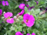 PIC_0055.webp