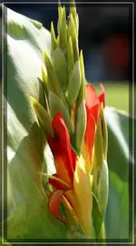 comp_DSC02471.webp