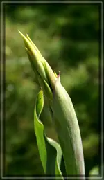 comp_DSC02473.webp