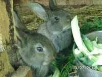 k-BILD1138.webp