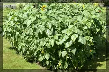 comp_DSC02482.webp