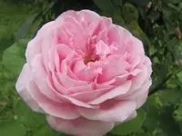 025.webp