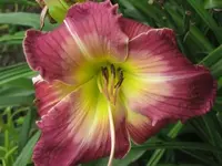 053.webp