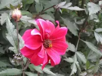 042.webp