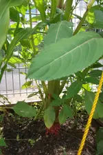 DSCF3261.webp