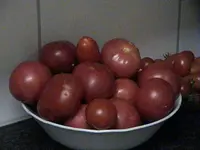 DSC00002.webp